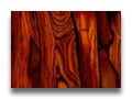 cocobolo